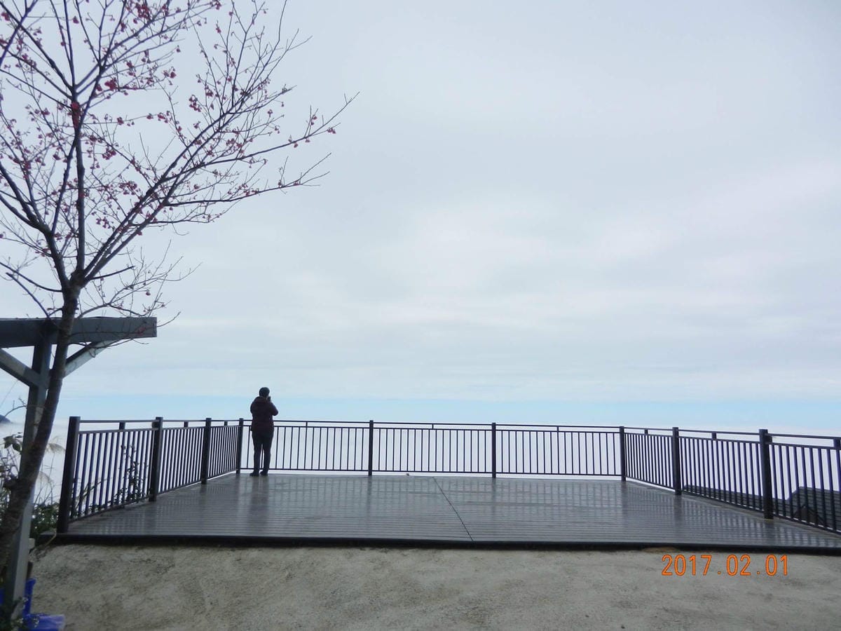 image.jpeg image.jpeg