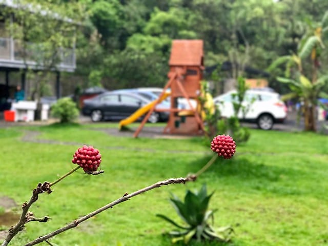 2017.04.22_新竹星月北埔露營區