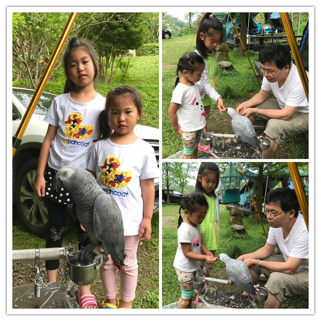 7C3FB4A8-B3FE-47FC-ACF5-6D629C5E56E1L0001--IMG_7783.PNG.jpg