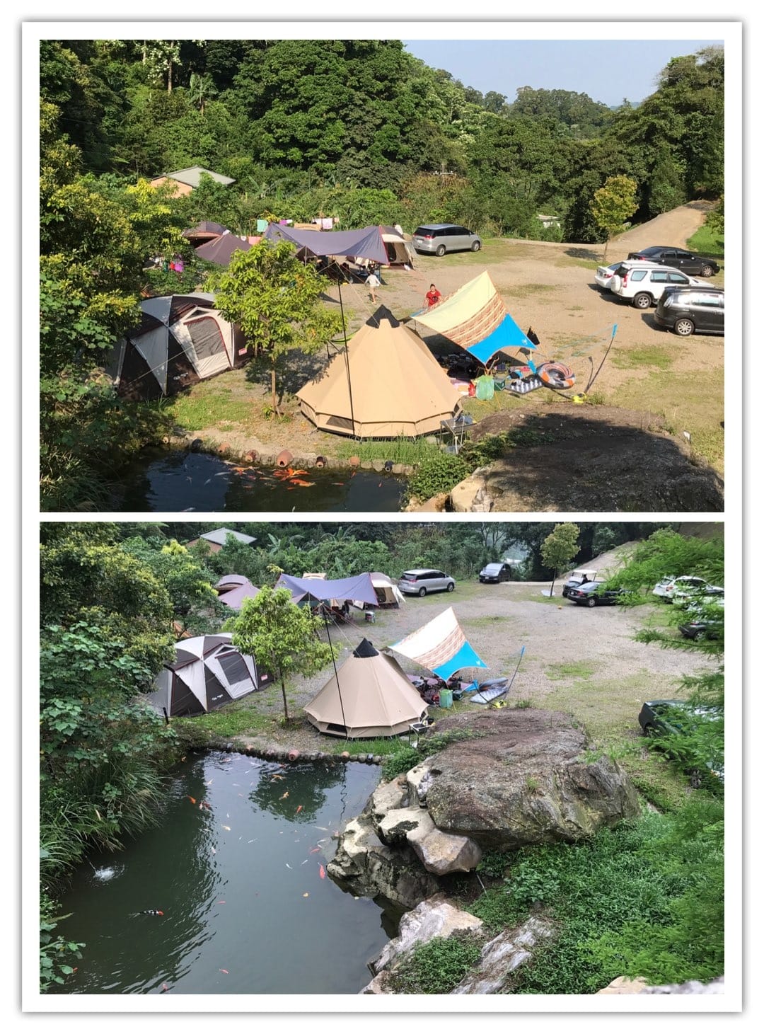 50AE9D56-8404-4ADC-91C8-EE730BC9118AL0001--IMG_7931.PNG.jpg