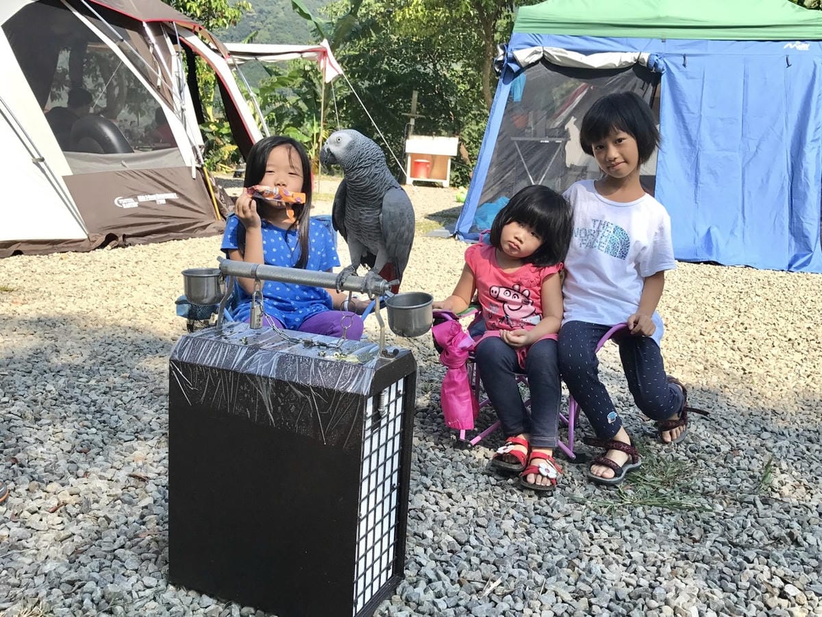716E6EE7-ADAB-4973-82B6-B82399E26E4AL0001--IMG_4809.JPG.jpg
