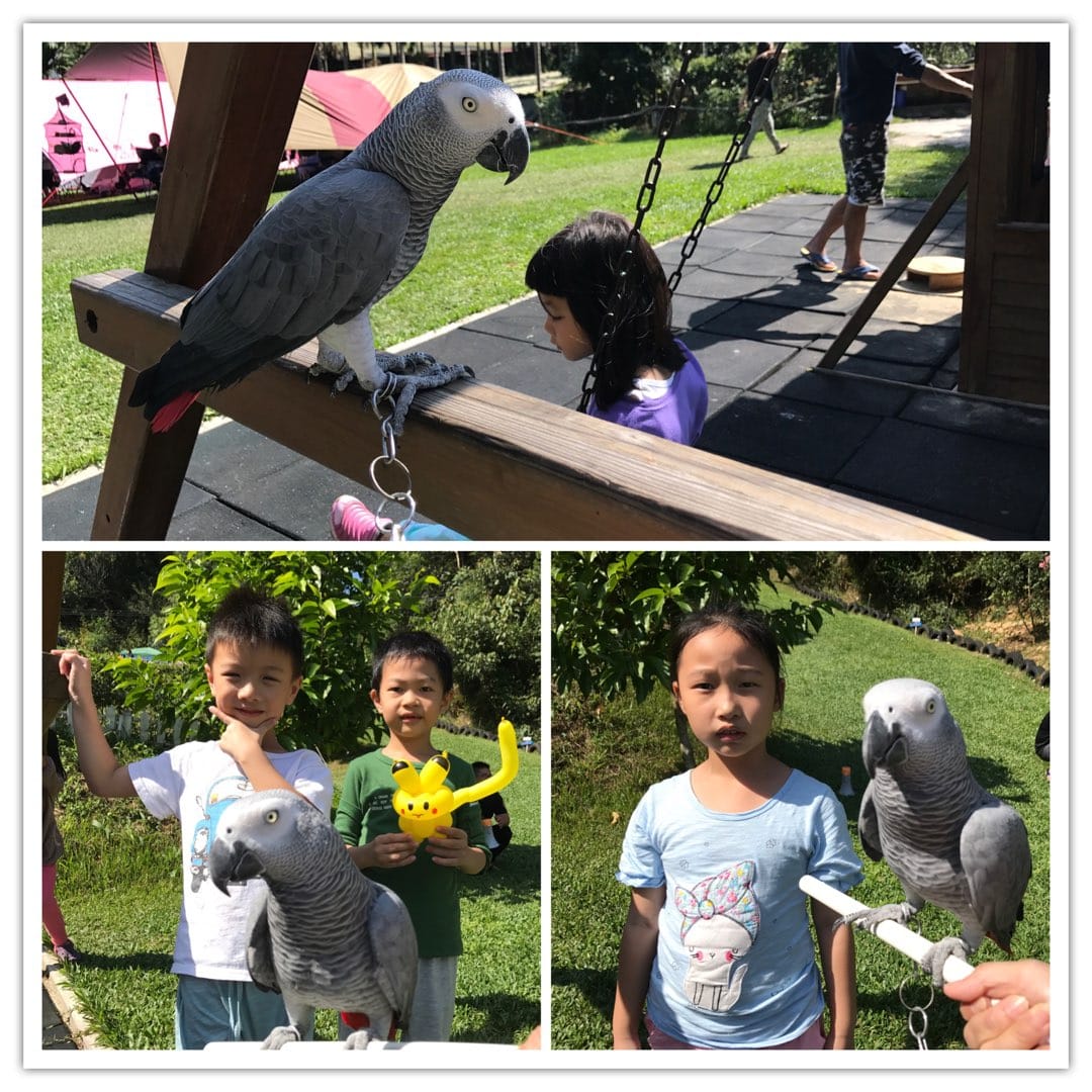 0F63FA29-D634-4BDB-ACDE-591F8098C1C0L0001--IMG_7013.PNG.jpg 0F63FA29-D634-4BDB-ACDE-591F8098C1C0L0001--IMG_7013.PNG.jpg