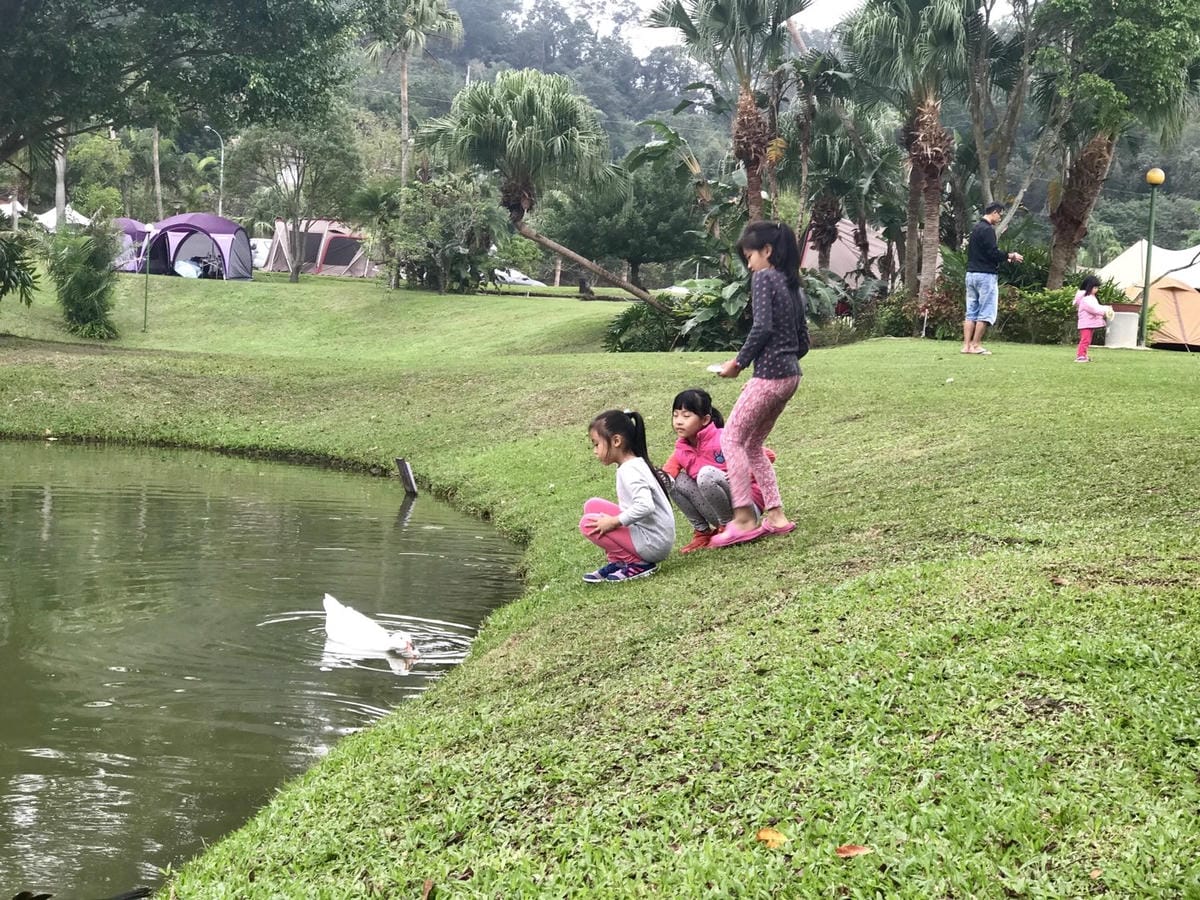 【苗栗三灣_棕櫚灣】湖畔景觀第一排、綠草如茵寬廣大草坪、彷彿置身在國外美景露營的Fu 柚子芳姐_露營札記2017.11.25 NO.54