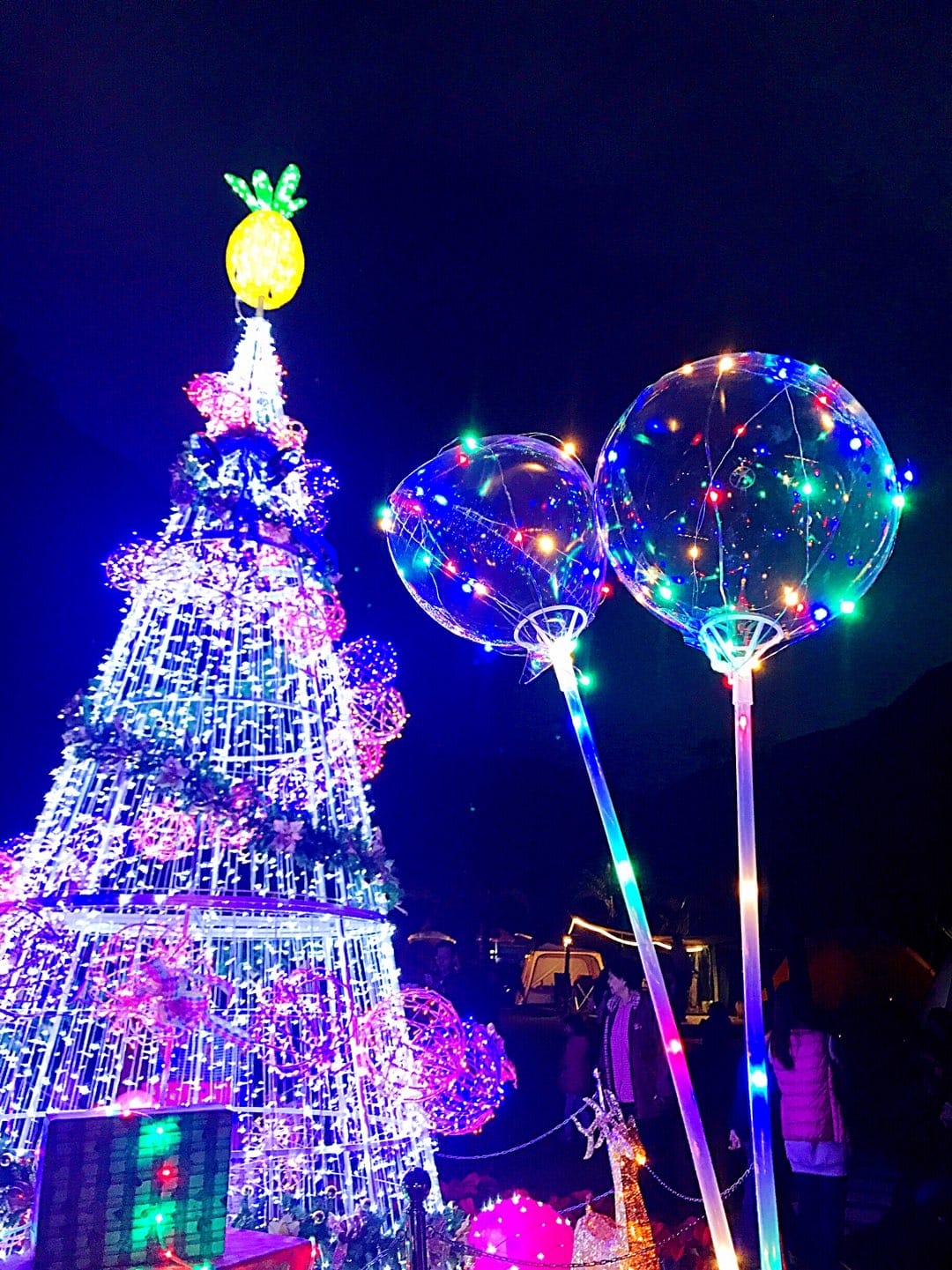 0D533324-5A75-4A81-99DE-2F353D14D3A5L0001--IMG_9800.JPG.jpg