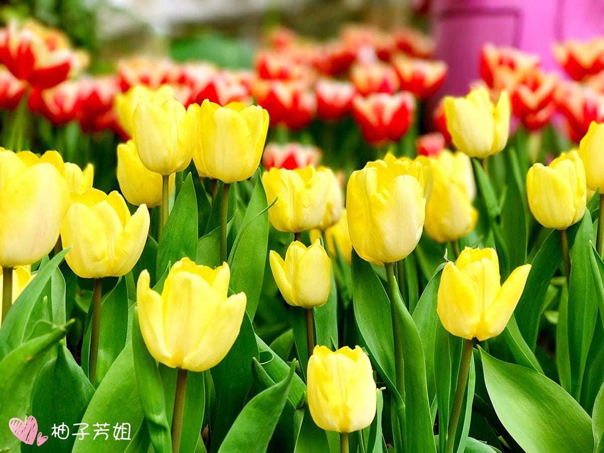 6D33FC54-F5EF-41B8-95CD-2729D0C10469L0001--IMG_3399.JPG.jpg