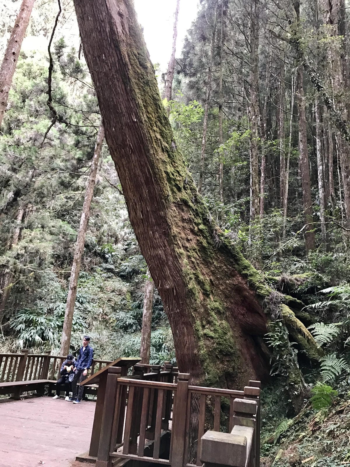 IMG_3055.JPG