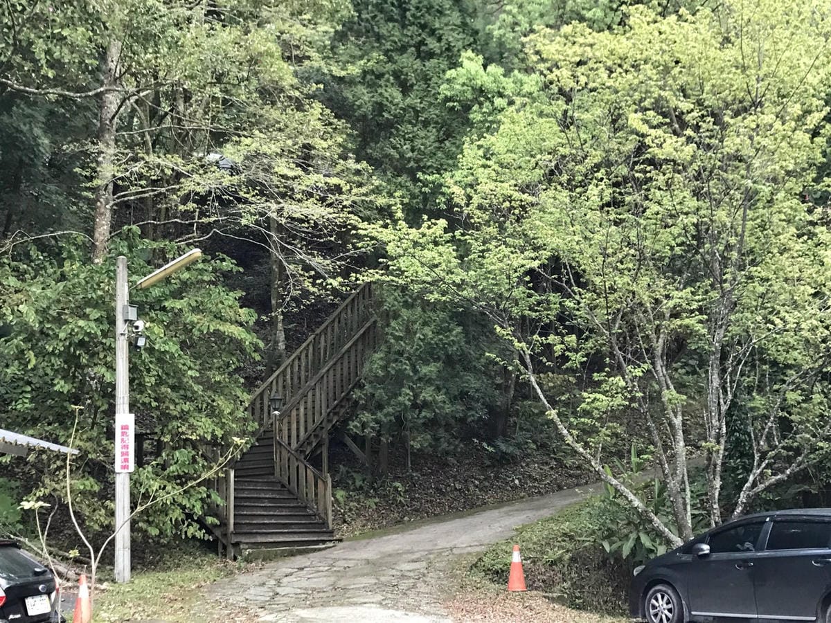 66130F35-499F-4806-8589-753732BD33B3L0001--IMG_3953.JPG.jpg