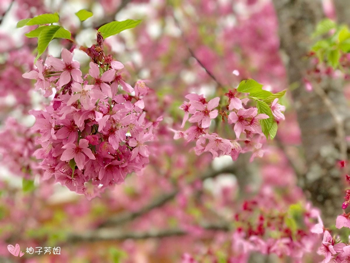 9CB74C13-B5C4-43C9-A99F-C2D3B8F25368L0001--IMG_5719.JPG.jpg