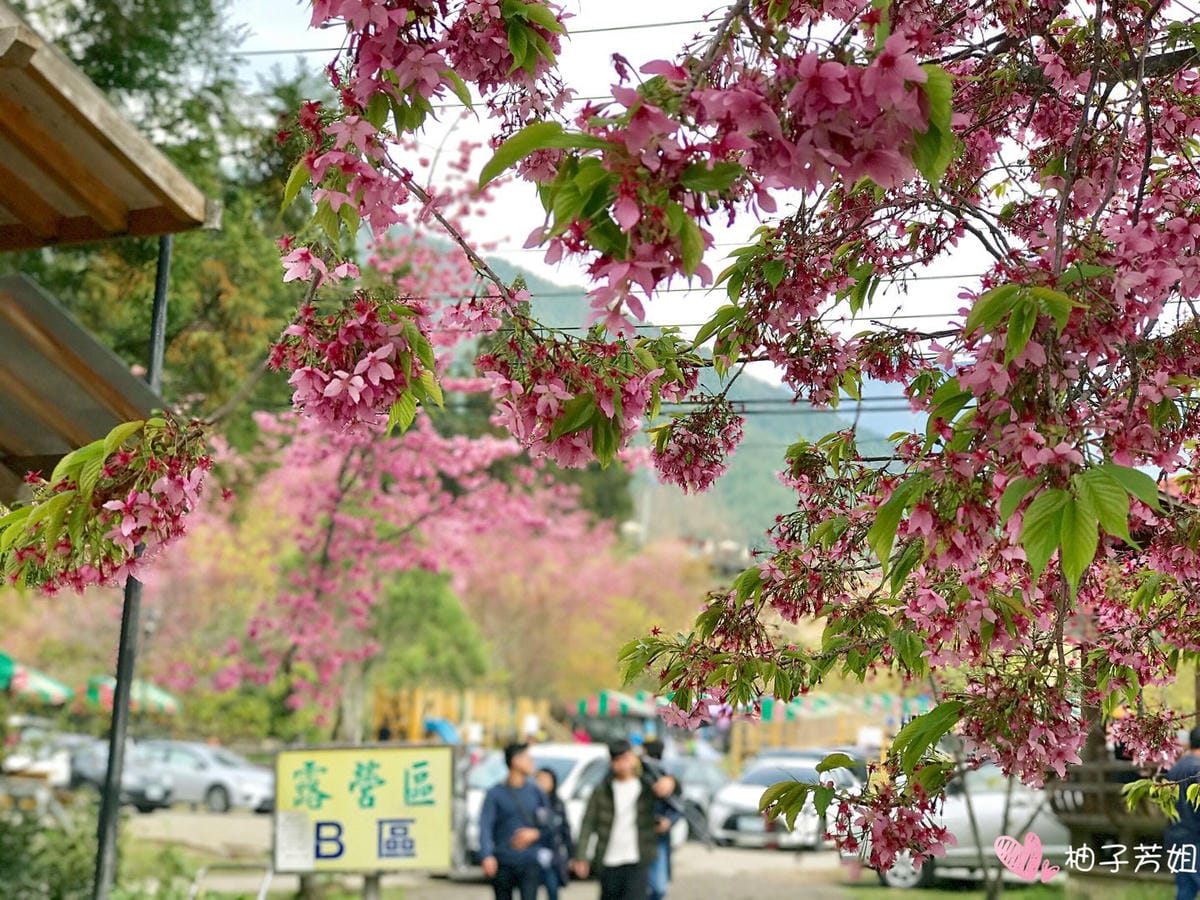 953A0187-13A0-42FB-A71F-0633A2535FE7L0001--IMG_5736.JPG.jpg