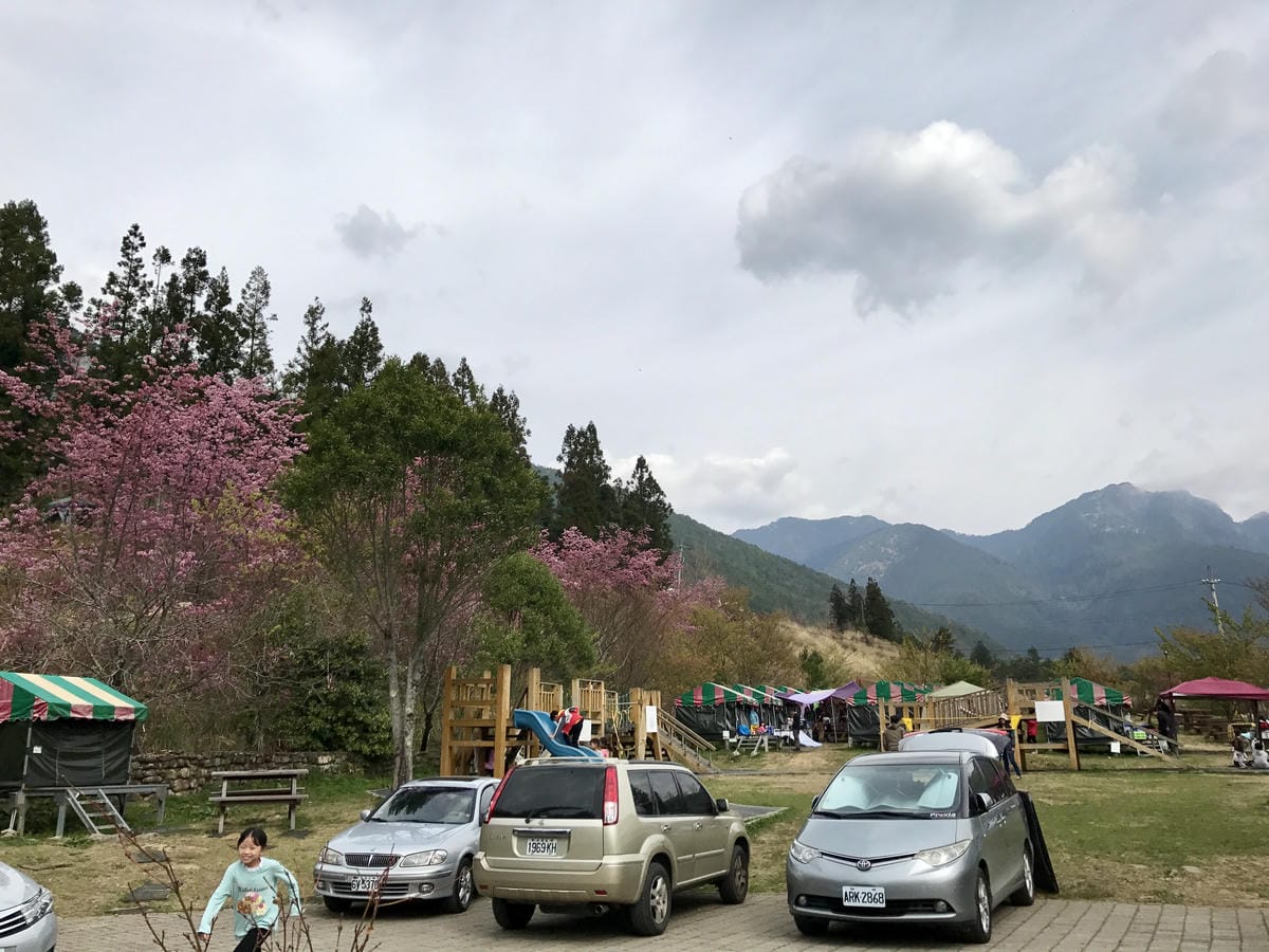 IMG_5335.JPG