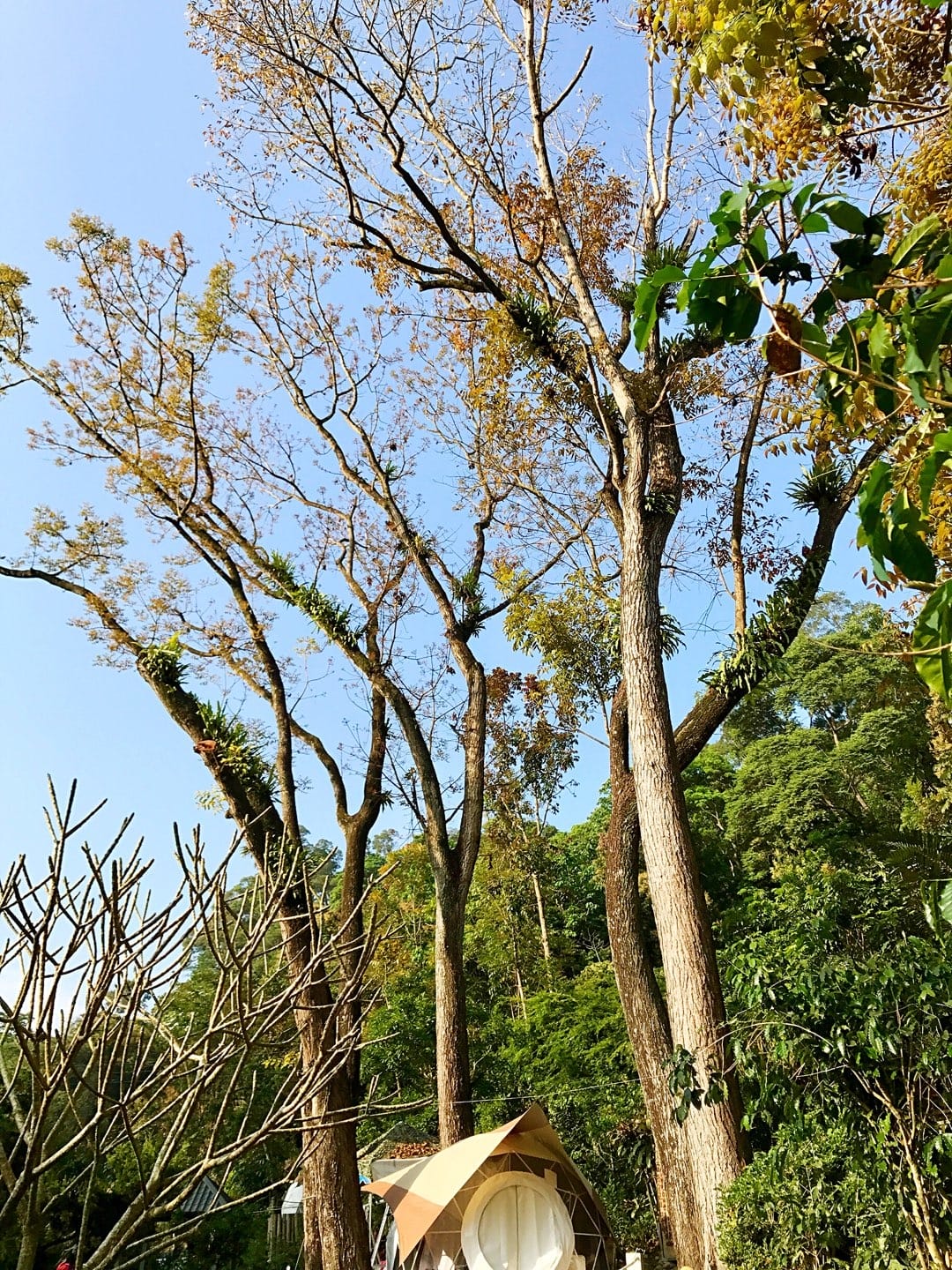 756129BE-6F30-4316-AAFE-9F46A5DD1C3BL0001--IMG_8456.JPG.jpg
