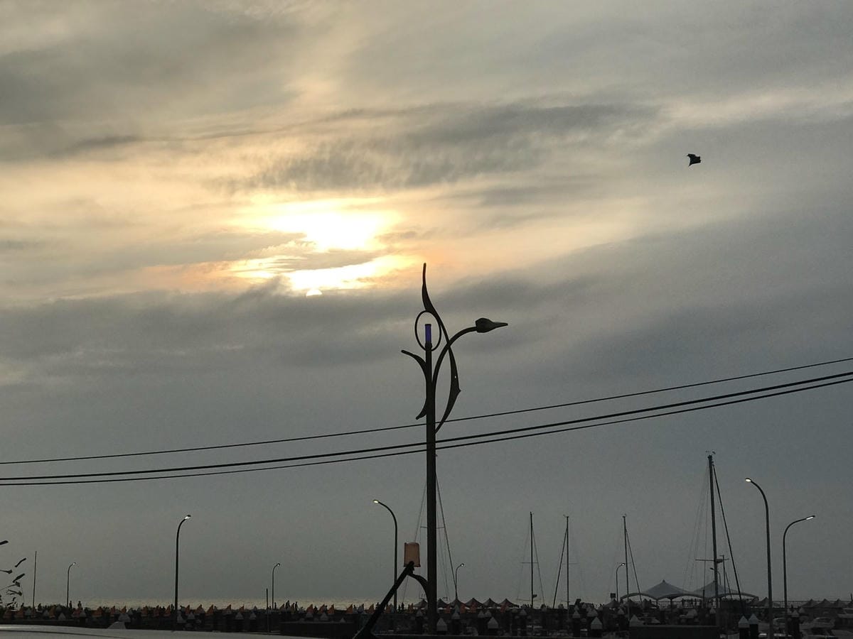 3FEE14F2-5DB1-4F01-8016-4260E1376520L0001--IMG_2011.JPG.jpg 3FEE14F2-5DB1-4F01-8016-4260E1376520L0001--IMG_2011.JPG.jpg