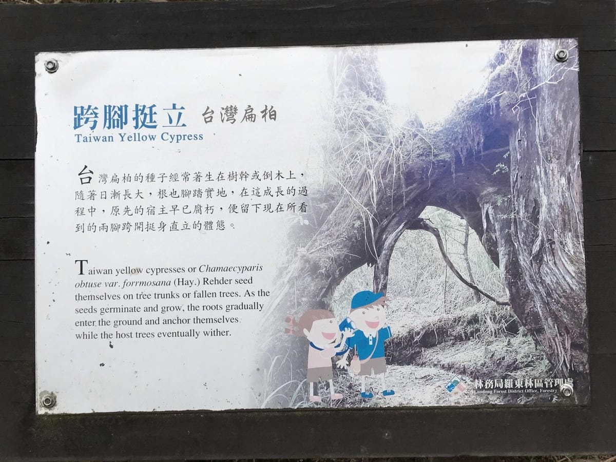 7BE7B474-3C1B-440C-8AC5-D85B4E4461CFL0001--IMG_5386.JPG.jpg