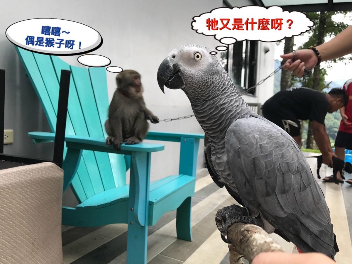 F4315961-79D6-4634-9766-8D7CC7699D5FL0001--IMG_9469.JPG.jpg F4315961-79D6-4634-9766-8D7CC7699D5FL0001--IMG_9469.JPG.jpg