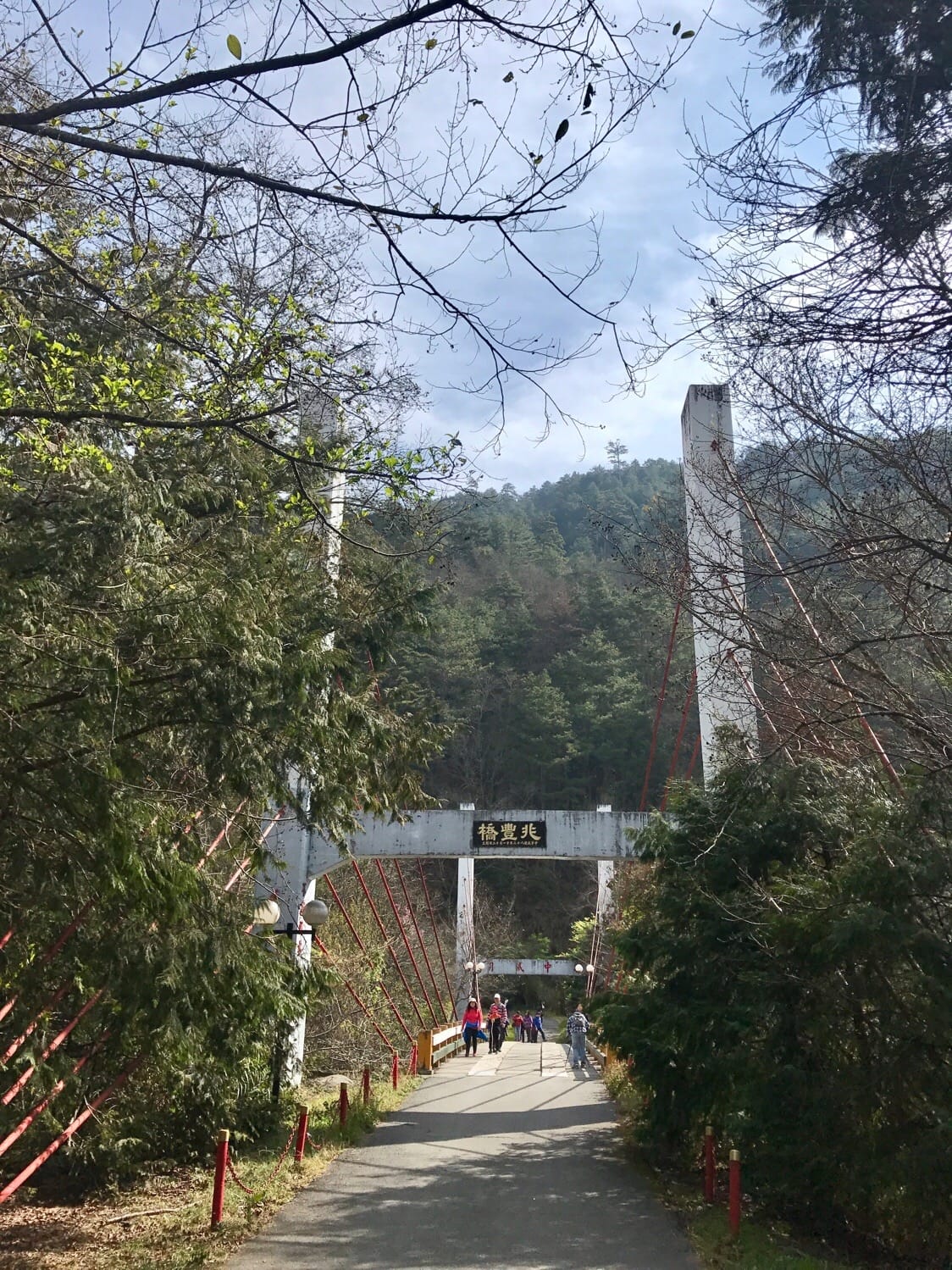 IMG_8786.JPG