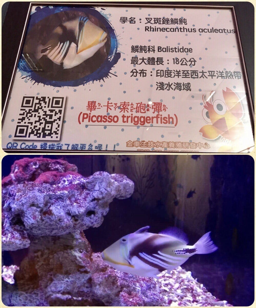 ABCDD3F8-306A-4100-AE18-EC92335FC834L0001--IMG_7789.JPG.jpg