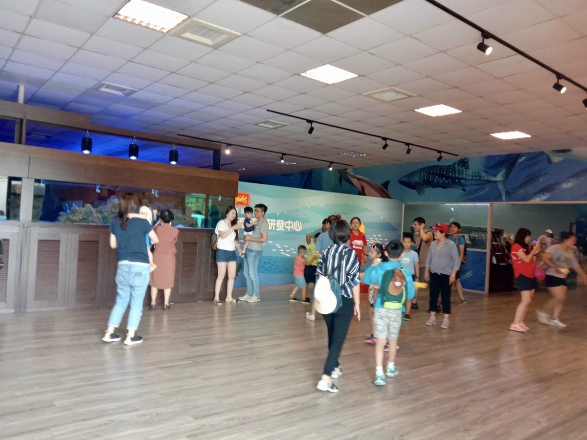 8A71AA80-B716-40AC-BEF6-CC2270CC4A03L0001--IMG_7786.JPG.jpg
