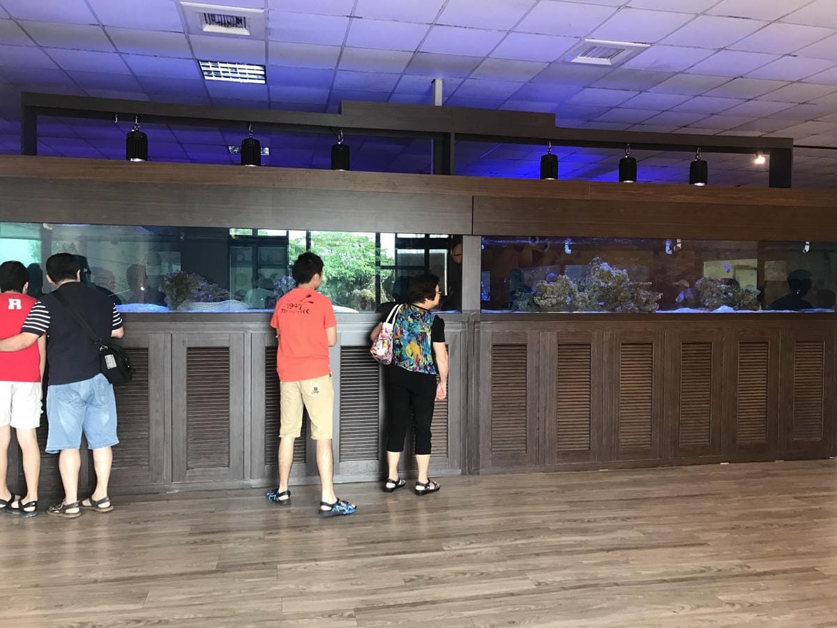04D9740B-6693-4030-9D36-7D2C6DF2EF62L0001--IMG_7530.JPG.jpg