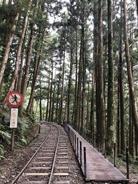 2019.08.17_太平山蹦蹦車茂興歩道