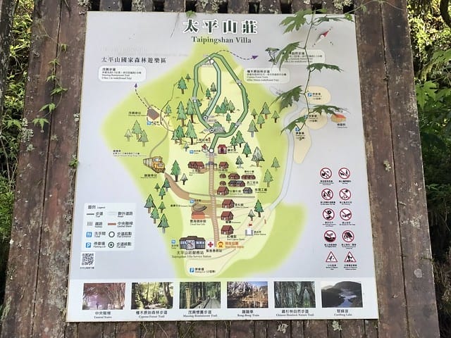 【宜蘭_太平山一日遊】就要醬玩探訪最美的見晴懷古步道愛在浪漫紫葉槭隧道漫步芬多精原始森林裏搭蹦蹦車造訪茂興懷古步道鳩之澤泡湯煮蛋趣柚子芳姐_旅遊札記
