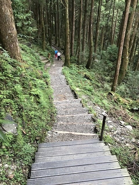 2019.08.17_太平山蹦蹦車茂興歩道