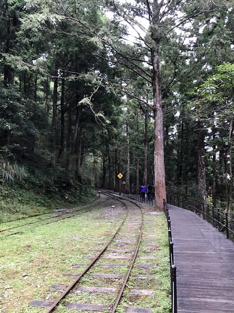 2019.08.17_太平山蹦蹦車茂興歩道