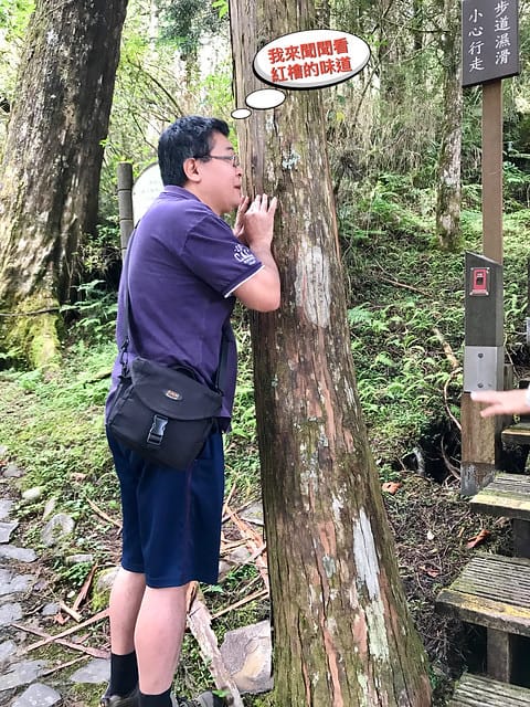 2019.08.17_太平山原始森林公園