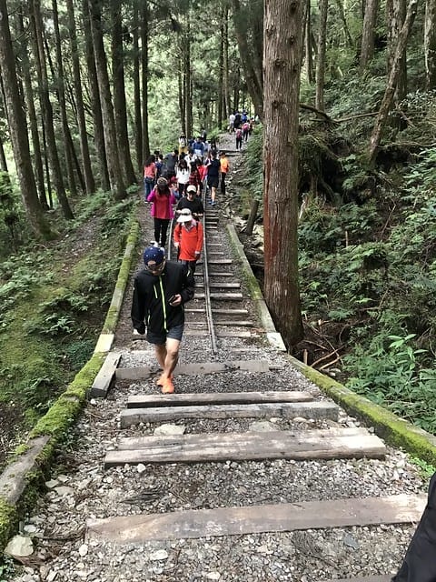 2019.08.17_太平山蹦蹦車茂興歩道