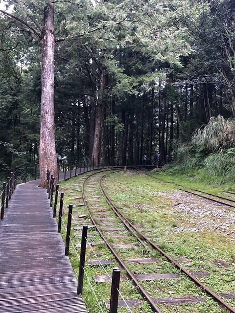 2019.08.17_太平山蹦蹦車茂興歩道