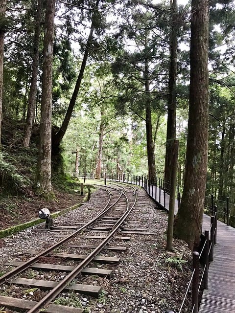 2019.08.17_太平山蹦蹦車茂興歩道