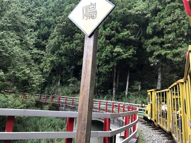 2019.08.17_太平山蹦蹦車茂興歩道