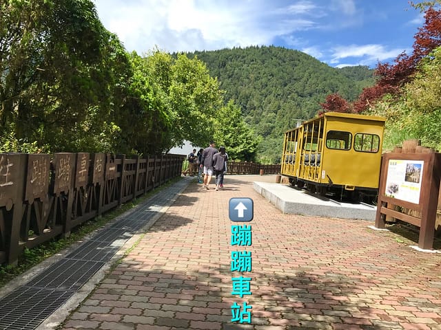 【宜蘭_太平山一日遊】就要醬玩探訪最美的見晴懷古步道愛在浪漫紫葉槭隧道漫步芬多精原始森林裏搭蹦蹦車造訪茂興懷古步道鳩之澤泡湯煮蛋趣柚子芳姐_旅遊札記