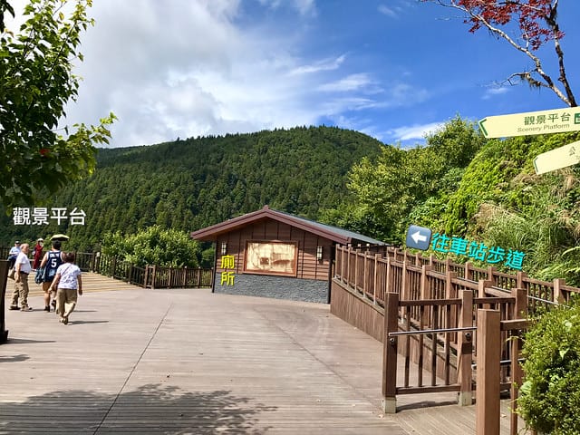 【宜蘭_太平山一日遊】就要醬玩探訪最美的見晴懷古步道愛在浪漫紫葉槭隧道漫步芬多精原始森林裏搭蹦蹦車造訪茂興懷古步道鳩之澤泡湯煮蛋趣柚子芳姐_旅遊札記