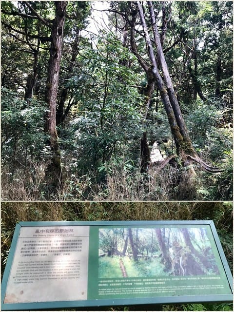 2019.08.17_太平山原始森林公園