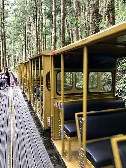 2019.08.17_太平山蹦蹦車茂興歩道
