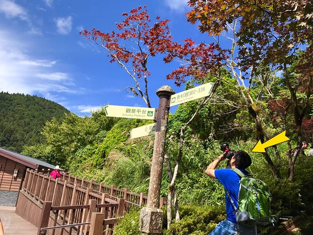 【宜蘭_太平山一日遊】就要醬玩探訪最美的見晴懷古步道愛在浪漫紫葉槭隧道漫步芬多精原始森林裏搭蹦蹦車造訪茂興懷古步道鳩之澤泡湯煮蛋趣柚子芳姐_旅遊札記
