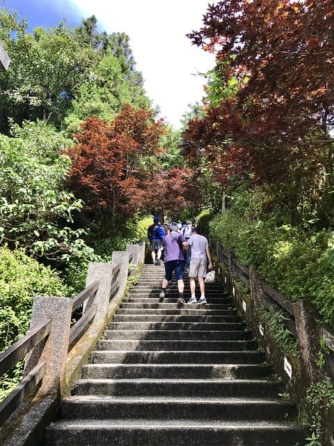 【宜蘭_太平山一日遊】就要醬玩探訪最美的見晴懷古步道愛在浪漫紫葉槭隧道漫步芬多精原始森林裏搭蹦蹦車造訪茂興懷古步道鳩之澤泡湯煮蛋趣柚子芳姐_旅遊札記