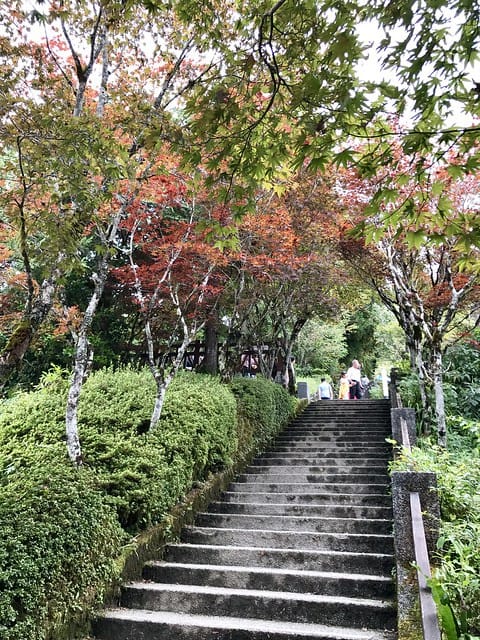 【宜蘭_太平山一日遊】就要醬玩探訪最美的見晴懷古步道愛在浪漫紫葉槭隧道漫步芬多精原始森林裏搭蹦蹦車造訪茂興懷古步道鳩之澤泡湯煮蛋趣柚子芳姐_旅遊札記