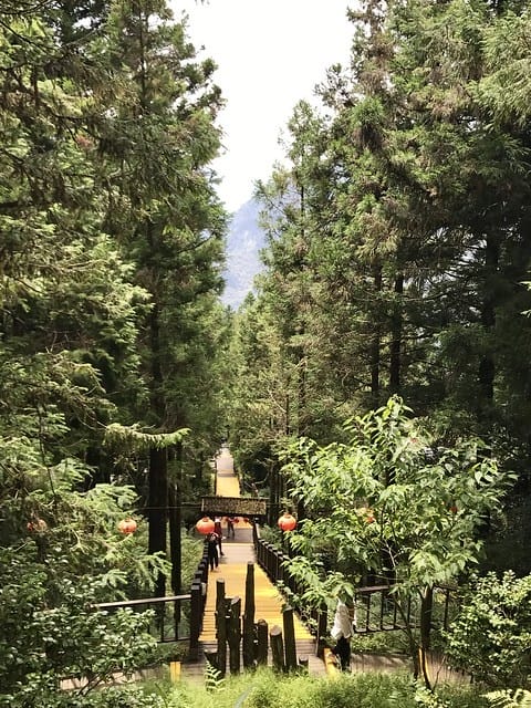 2019.08.17_太平山原始森林公園