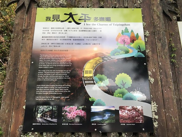 【宜蘭_太平山一日遊】就要醬玩探訪最美的見晴懷古步道愛在浪漫紫葉槭隧道漫步芬多精原始森林裏搭蹦蹦車造訪茂興懷古步道鳩之澤泡湯煮蛋趣柚子芳姐_旅遊札記