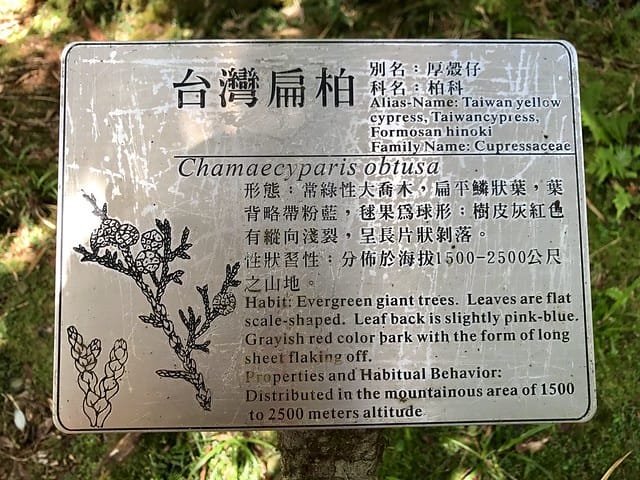 2019.08.17_太平山原始森林公園