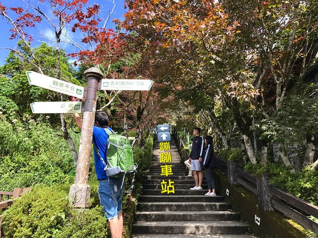 【宜蘭_太平山一日遊】就要醬玩探訪最美的見晴懷古步道愛在浪漫紫葉槭隧道漫步芬多精原始森林裏搭蹦蹦車造訪茂興懷古步道鳩之澤泡湯煮蛋趣柚子芳姐_旅遊札記