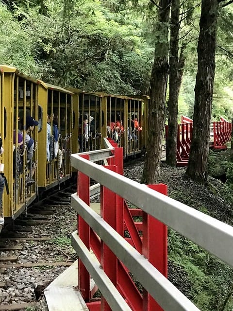2019.08.17_蹦蹦車茂興歩道