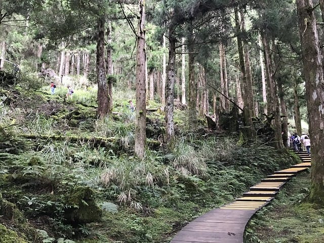 2019.08.17_太平山蹦蹦車茂興歩道