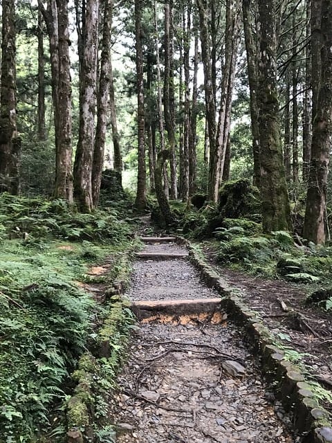 2019.08.17_太平山蹦蹦車茂興歩道
