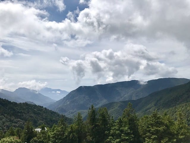 【宜蘭_太平山一日遊】就要醬玩探訪最美的見晴懷古步道愛在浪漫紫葉槭隧道漫步芬多精原始森林裏搭蹦蹦車造訪茂興懷古步道鳩之澤泡湯煮蛋趣柚子芳姐_旅遊札記