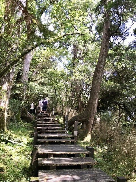 2019.08.17_太平山原始森林公園