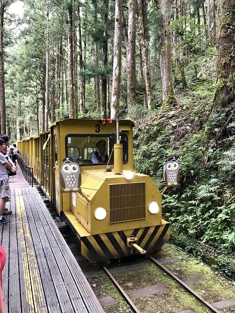 2019.08.17_太平山蹦蹦車茂興歩道