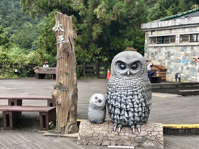 【宜蘭_太平山一日遊】就要醬玩探訪最美的見晴懷古步道愛在浪漫紫葉槭隧道漫步芬多精原始森林裏搭蹦蹦車造訪茂興懷古步道鳩之澤泡湯煮蛋趣柚子芳姐_旅遊札記