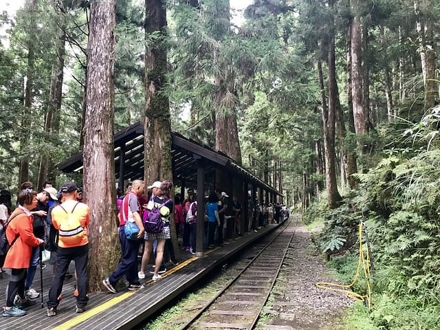 2019.08.17_太平山蹦蹦車茂興歩道